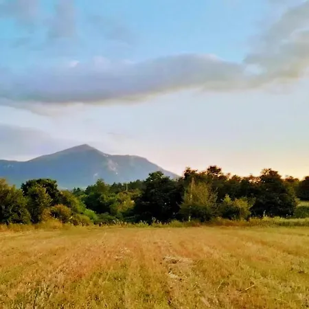 Maison d'hôtes Saturea Boljevac