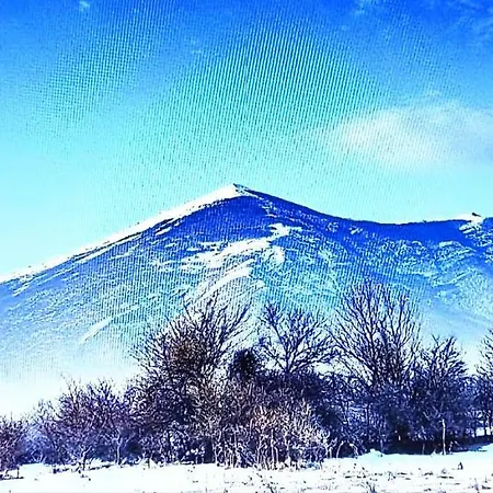 Saturea * Boljevac